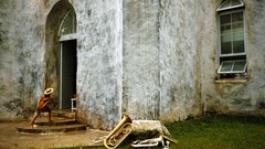 Nature Animals national geographic National