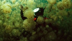 Nature Animals national geographic National