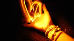 Nature Animals national geographic National