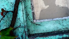 Nature Animals national geographic National