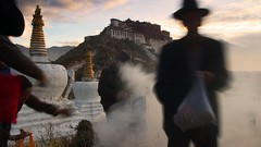 Nature Animals national geographic National