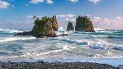 Nature Animals skies