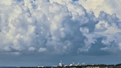 Nature Animals skies