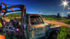 Nature Animals skies