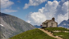 Nature Animals skies