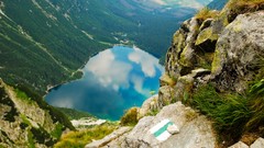 Nature Animals skies