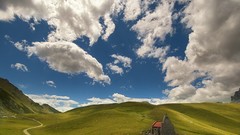 Nature Animals skies