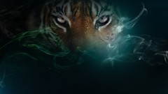 Nature Animals smoke abstract Tigers wildlife