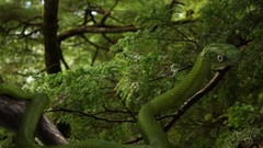 Nature Animals snakes wild animals digital art cgi