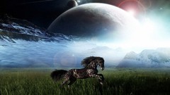 Nature Animals wildlife