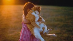 Nature Animals woman cats sunlight pets domestic cat