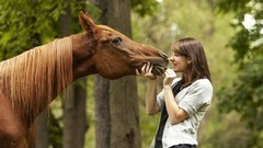 Nature Animals woman Horses
