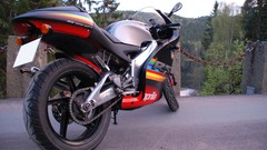 Nature Aprilia 2003 motorbikes GP1 RS125 RS125 GP1 ApriliaRS125