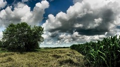 Nature Art The swimming bump ) With bionix fishys