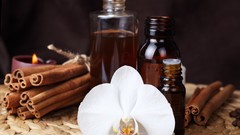 Nature Asia colors taste Herbs smell excited