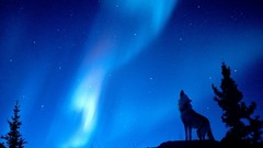 Nature aurora borealis