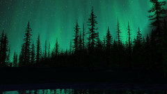 Nature Aurora forest water