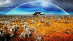Nature Australia travel Australian deserts