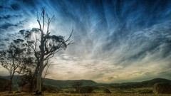 Nature Australia travel skies