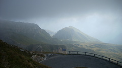 Nature Austria mist roads