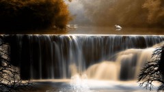 Nature autumn Birds waterfalls