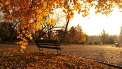 Nature autumn chairs romania