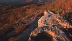 Nature autumn colors north carolina