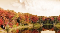 Nature autumn forests