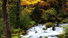 Nature autumn forests rivers