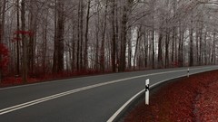Nature autumn forests roads