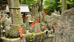 Nature autumn Japan Garden