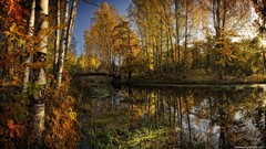 Nature autumn rivers