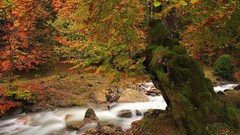 Nature autumn rivers forests