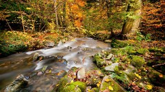 Nature autumn rivers forests