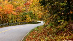 Nature autumn roads