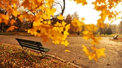 Nature autumn romania