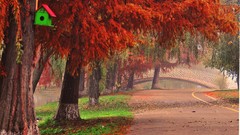 Nature autumn romania