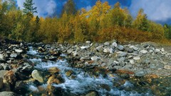 Nature autumn siberia