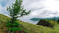 Nature autumn siberia