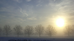 Nature awesome morning snow