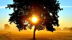 Nature backgrounds artwork