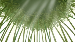 Nature bakemonogatari Anime anime