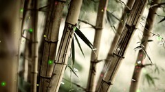 Nature bamboo fantasy art