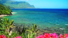 Nature bay Hawaii