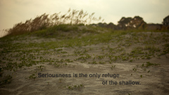 Nature beach Dune 1984