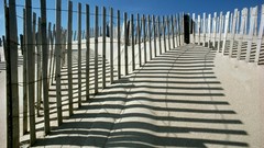 Nature Beaches fences shadows sunlight