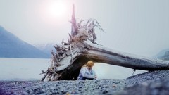 Nature Beaches sunlight artistic