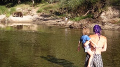 Nature Bears rivers Animals