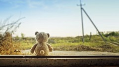 Nature Bears street skies teddy bears