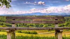 Nature bench